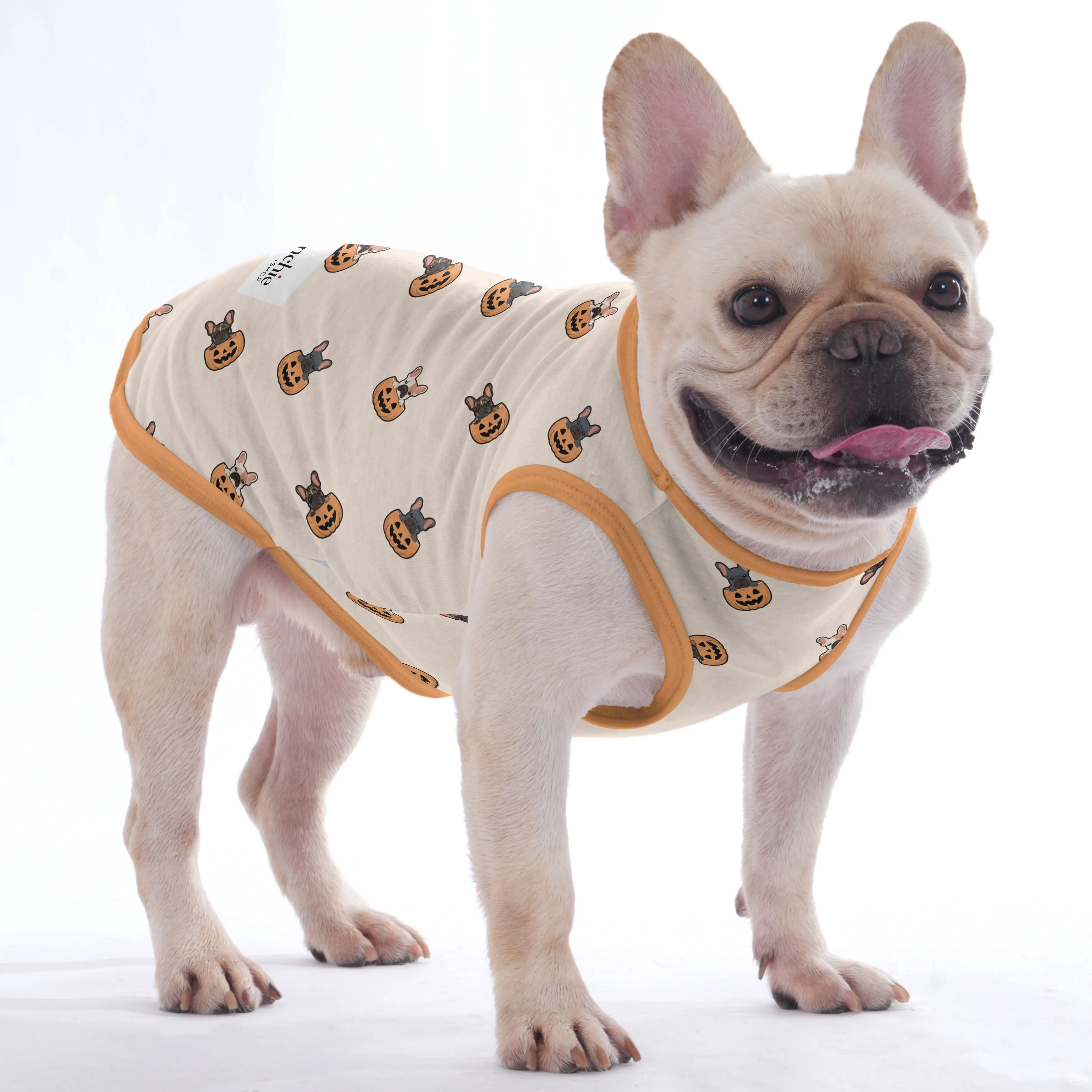 Daisy-  Halloween Shirt for Frenchies - Frenchie Shop Original