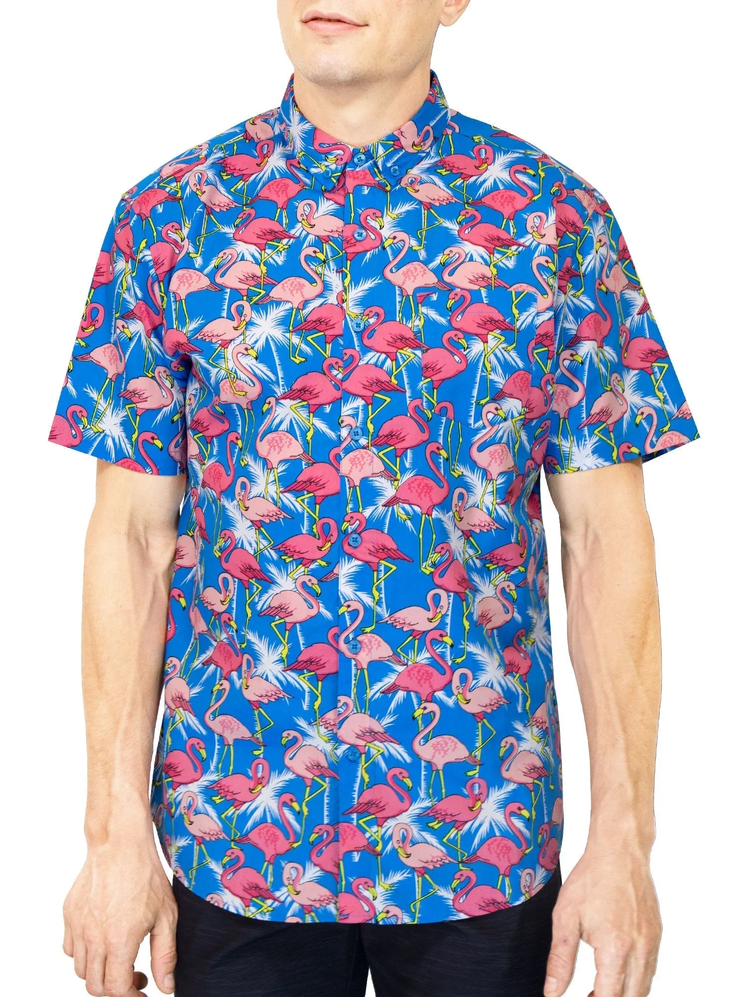 Mens Button Down Shirt - Flamingo Palms Turquoise