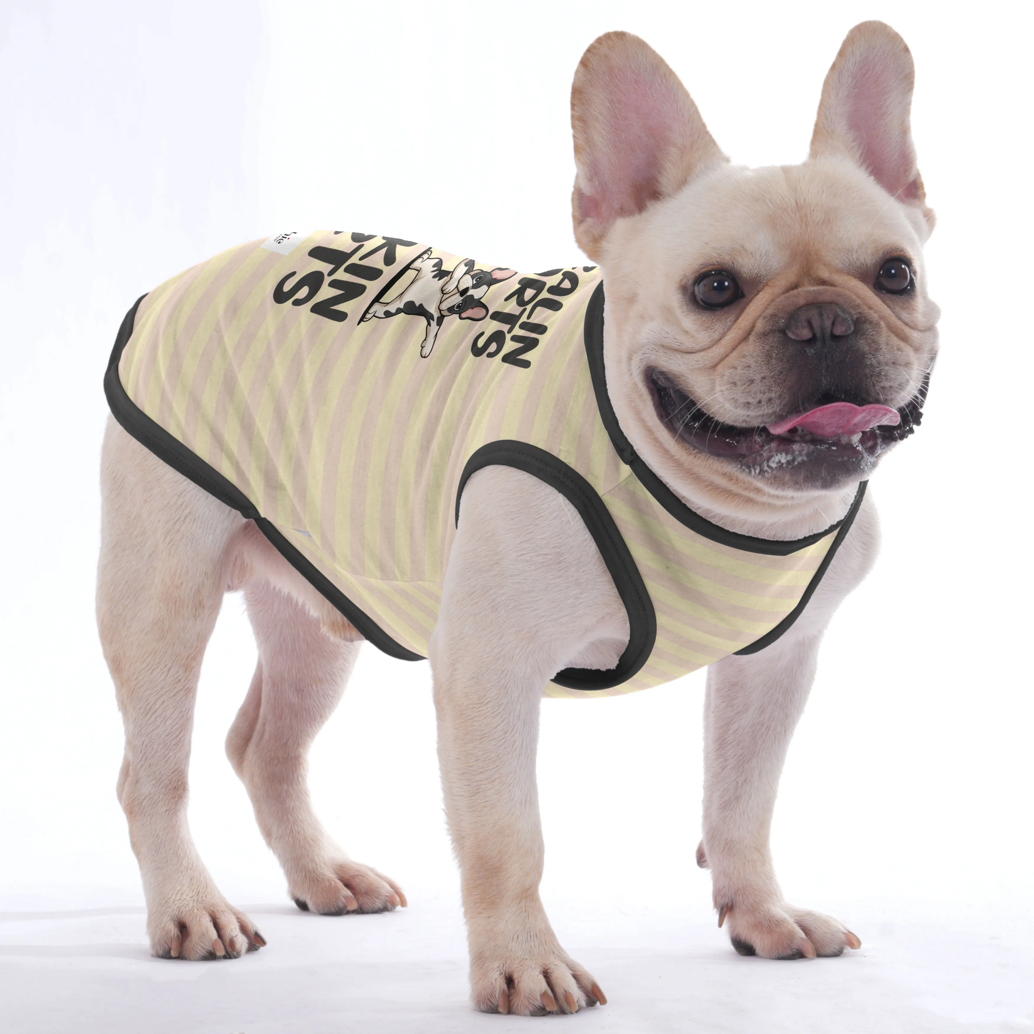 Stealin Hearts & Makin Farts - Shirt for Frenchies - Frenchie Shop Original